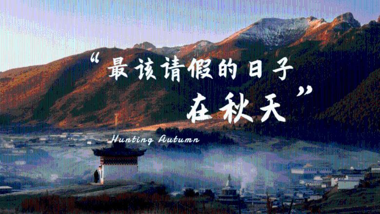曲棍球教练逃生